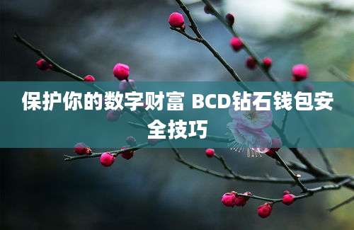 保护你的数字财富 BCD钻石钱包安全技巧