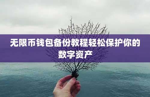 无限币钱包备份教程轻松保护你的数字资产