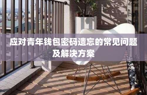 应对青年钱包密码遗忘的常见问题及解决方案