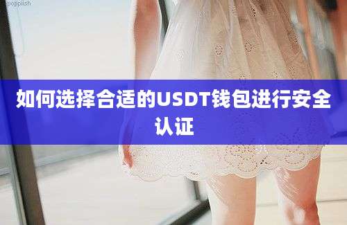 如何选择合适的USDT钱包进行安全认证