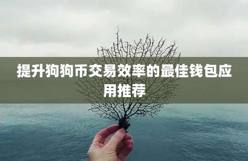 提升狗狗币交易效率的最佳钱包应用推荐