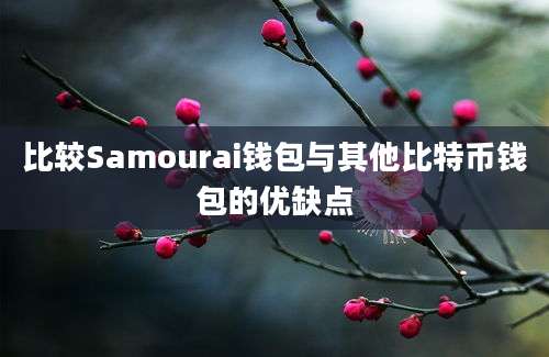 比较Samourai钱包与其他比特币钱包的优缺点