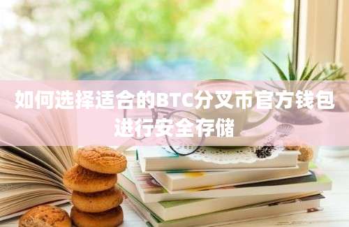 如何选择适合的BTC分叉币官方钱包进行安全存储