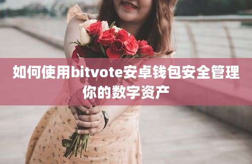 如何使用bitvote安卓钱包安全管理你的数字资产