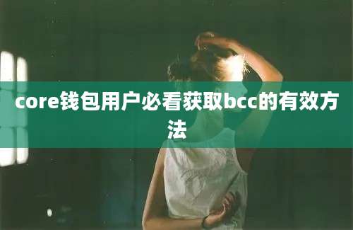 core钱包用户必看获取bcc的有效方法