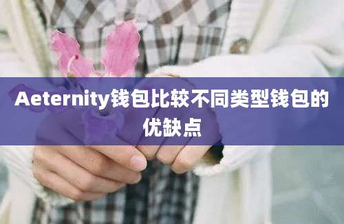 Aeternity钱包比较不同类型钱包的优缺点