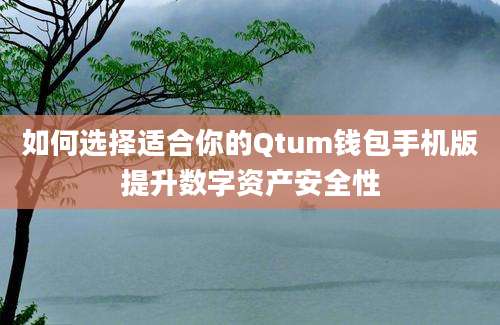 如何选择适合你的Qtum钱包手机版提升数字资产安全性