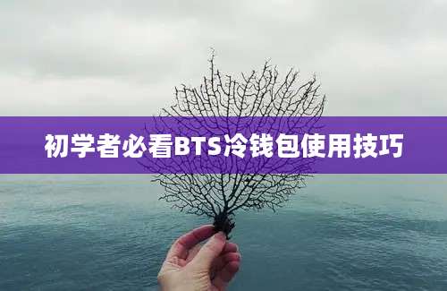 初学者必看BTS冷钱包使用技巧