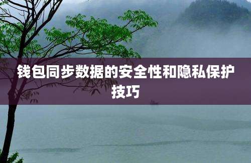 钱包同步数据的安全性和隐私保护技巧