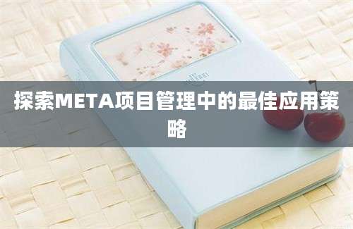 探索META项目管理中的最佳应用策略