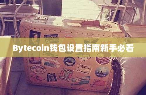 Bytecoin钱包设置指南新手必看