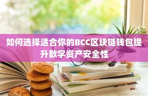 如何选择适合你的BCC区块链钱包提升数字资产安全性