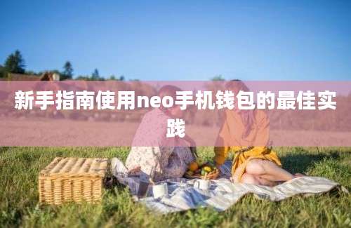 新手指南使用neo手机钱包的最佳实践