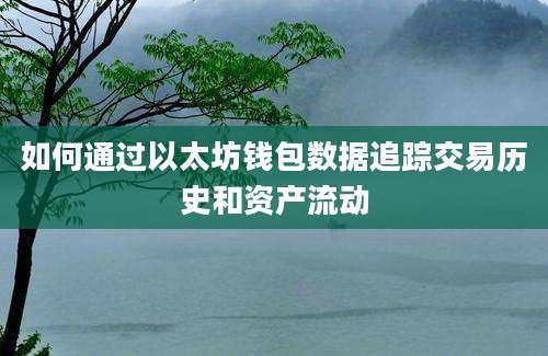 如何通过以太坊钱包数据追踪交易历史和资产流动