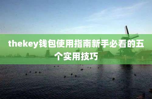 thekey钱包使用指南新手必看的五个实用技巧