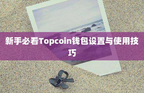 新手必看Topcoin钱包设置与使用技巧