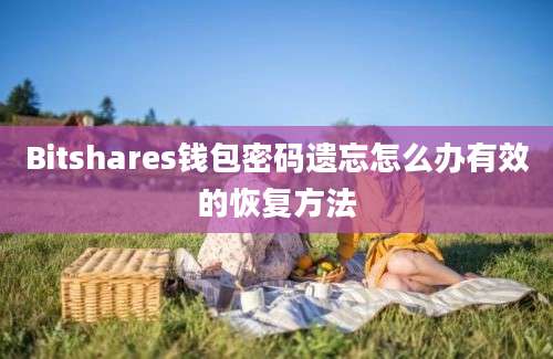 Bitshares钱包密码遗忘怎么办有效的恢复方法