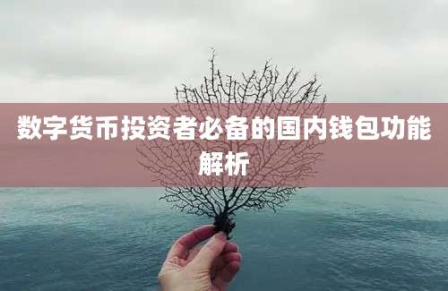 数字货币投资者必备的国内钱包功能解析