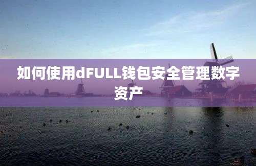 如何使用dFULL钱包安全管理数字资产