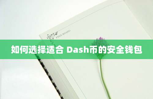 如何选择适合 Dash币的安全钱包