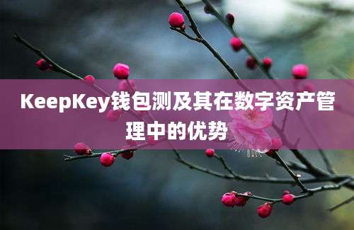 KeepKey钱包测及其在数字资产管理中的优势