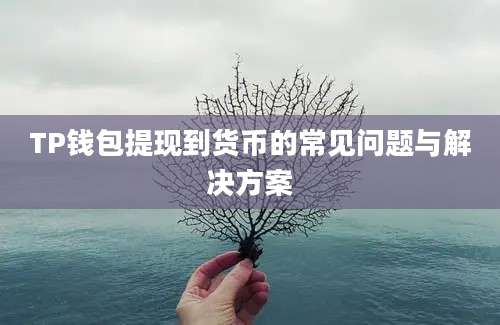 TP钱包提现到货币的常见问题与解决方案