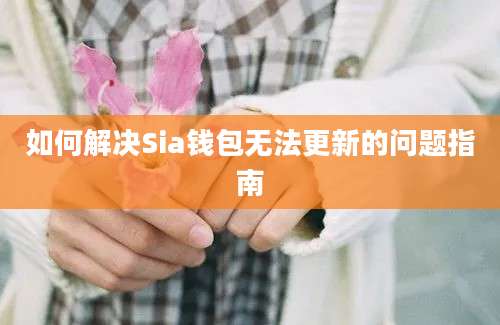 如何解决Sia钱包无法更新的问题指南