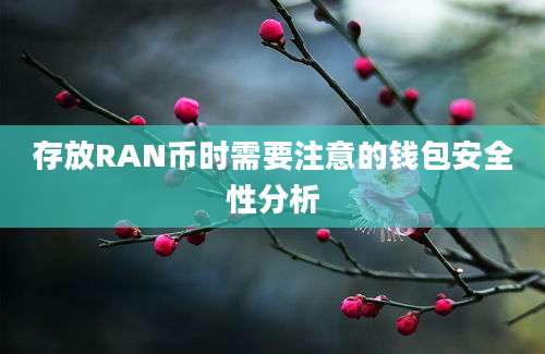 存放RAN币时需要注意的钱包安全性分析