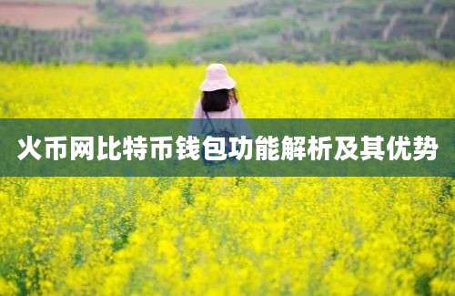 火币网比特币钱包功能解析及其优势