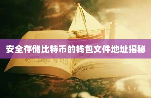 安全存储比特币的钱包文件地址揭秘