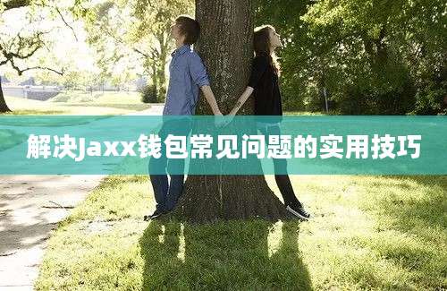 解决Jaxx钱包常见问题的实用技巧