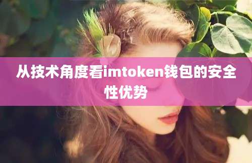 从技术角度看imtoken钱包的安全性优势