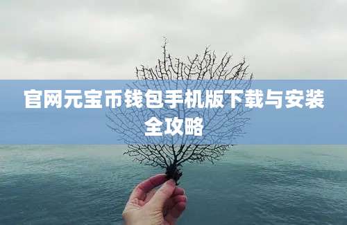 官网元宝币钱包手机版下载与安装全攻略