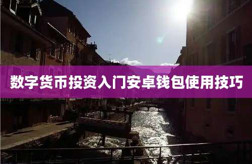 数字货币投资入门安卓钱包使用技巧