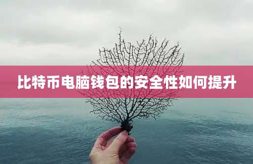 比特币电脑钱包的安全性如何提升