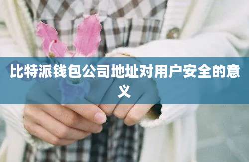 比特派钱包公司地址对用户安全的意义