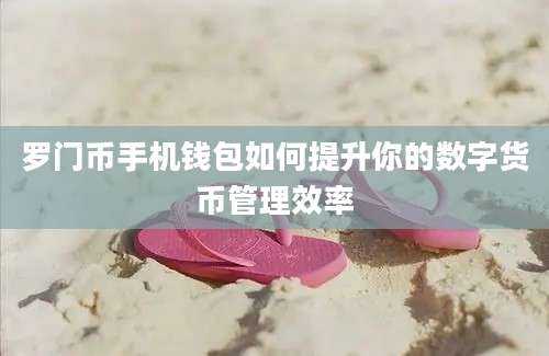 罗门币手机钱包如何提升你的数字货币管理效率