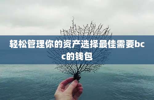 轻松管理你的资产选择最佳需要bcc的钱包