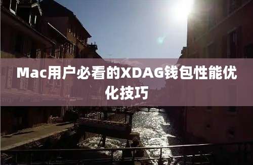 Mac用户必看的XDAG钱包性能优化技巧