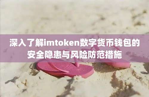 深入了解imtoken数字货币钱包的安全隐患与风险防范措施