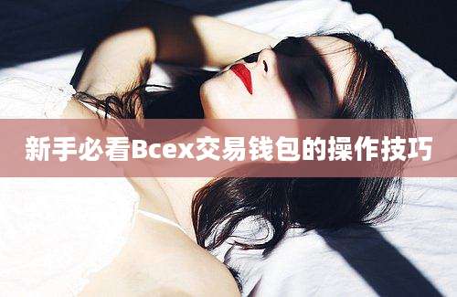 新手必看Bcex交易钱包的操作技巧