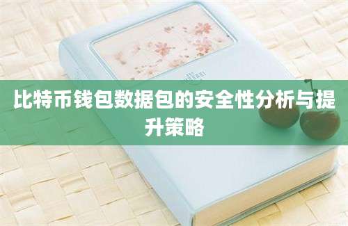 比特币钱包数据包的安全性分析与提升策略