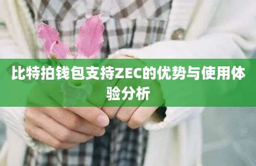 比特拍钱包支持ZEC的优势与使用体验分析