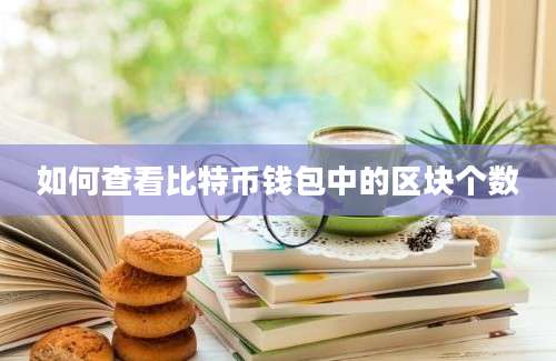 如何查看比特币钱包中的区块个数